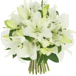 Лилии белые